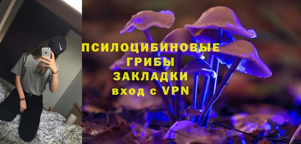 соль ск Ладушкин